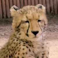 まゆ (@mayu0000228) 's Twitter Profile Photo