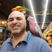 Omar Al Otaibi (@omaralotaibi) 's Twitter Profile