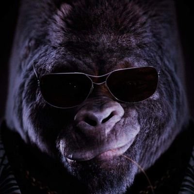 JohnChesworth's profile picture. 