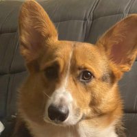 SirJackBaderTheLowRider (@sirjackbader) 's Twitter Profile