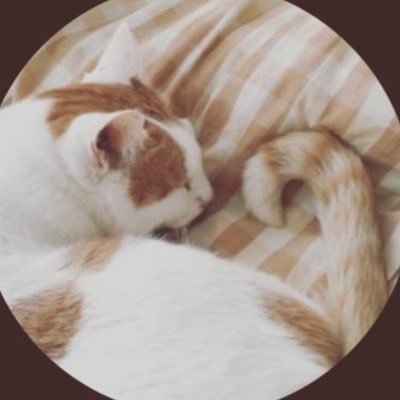 🍣今日も自分に向かって大量に独り言RP/ミュート、リムり、ブロックご自由にどうぞ！🐈趣味は絵/ピアノ🎹/面白いもの/3猫/2023年6月頃突然プロレスファンに/新日🔰/WWE🔰無言フォロー大変失礼いたします🚢✈️船/飛行機/自衛隊🍙ほぼプロレスアカウントになってきましたよ🐈めちゃくちゃ混ざってます🍣