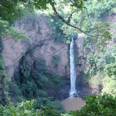 CarlosV19198291's profile picture. Salvadoreño. 64 años viviendo en Toronto. les deseo paz a todos