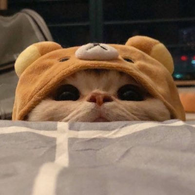 crapliplaplus's profile picture. 