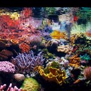 Julie Mandel - @jemandel82 - Twitter