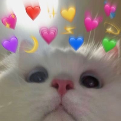 0Katastrophe0's profile picture. Adopt me player!
my user is 
0Katastrophe0
but you can call me Kat :D