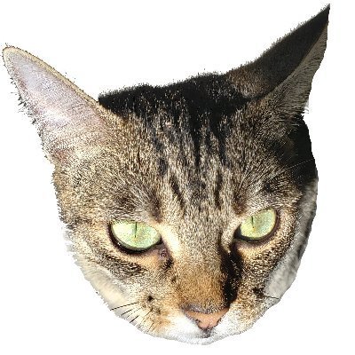 GratefulHike π π΄ββοΈπ£ Profile