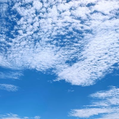 pandayu's profile picture. 