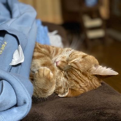 tt_0626mi's profile picture. ムロツヨシさんとモーニング娘。が大好きな保育士🐣