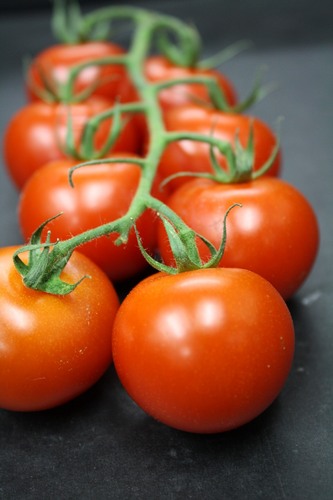 4freshveg's profile picture. 