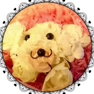 フック(^-^)さんのプロフィール画像