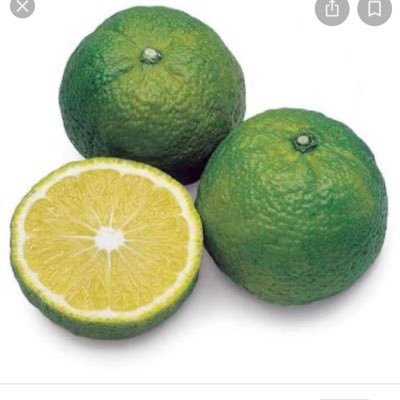 eguchisayaka1's profile picture.