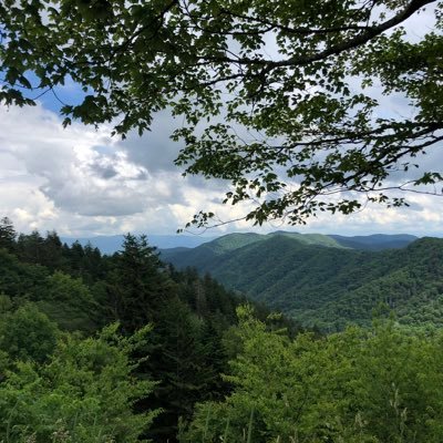 campgroundfrog's profile picture. Love the Lord with all my heart!
FL boy by birth and now GA’s home.  America First!