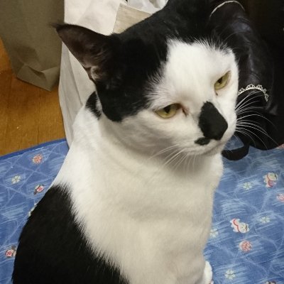 198yenさんのプロフィール画像