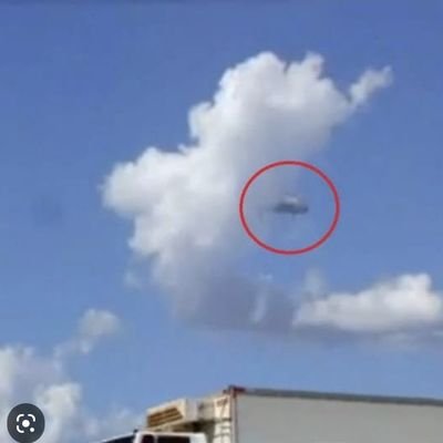 nubeoculta's profile picture. Libertad!