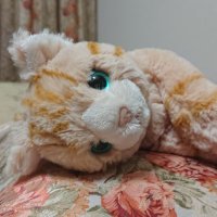 みるてぃ (@myrte07) 's Twitter Profile