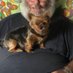 david sturgeon (@davidsturgeon4) Twitter profile photo david sturgeon (@davidsturgeon4) Twitter profile photo