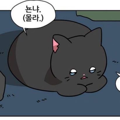 레훔さんのプロフィール画像