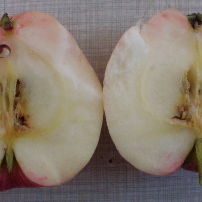 pioper's profile picture. Do the best leave the rest
https://t.co/j1WpFg1G2P