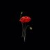 𝚂𝚘𝚖𝚊 |🧚♀️ (@siham_hoo) Twitter profile photo 𝚂𝚘𝚖𝚊 |🧚♀️ (@siham_hoo) Twitter profile photo