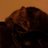 di_knitting's profile image