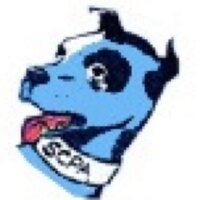 aveshuhei (@aveshuhei) 's Twitter Profile