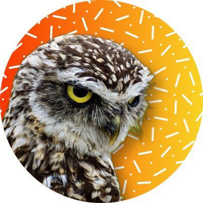 Broadcom DX, ASM Admin | Senior Site Reliability & Performance Engineer | Django | Custom Infra Monitoring Solution