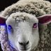 Laser Sheep - Arisen (@J_oe_p) Twitter profile photo