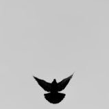 〰️ (@dretrav) Twitter profile photo