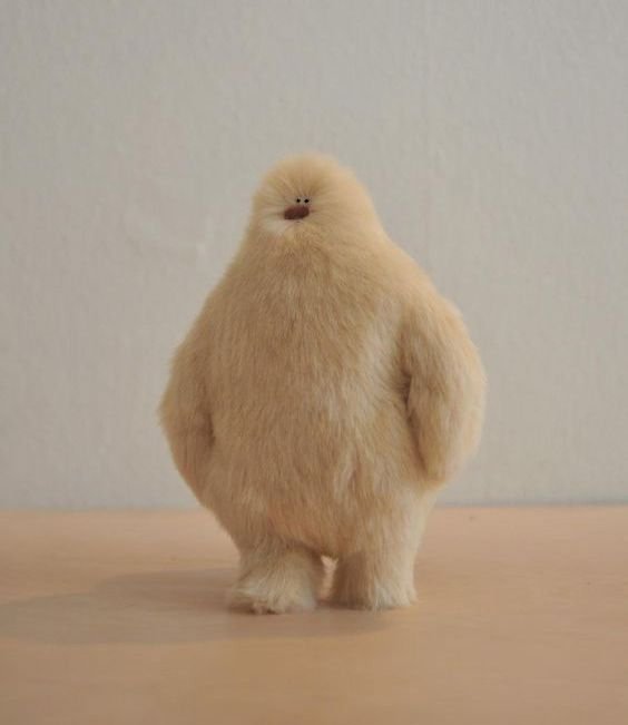 ripuhwin's profile picture. Tradings