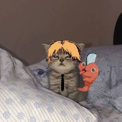SinS3ntidox's profile picture. 