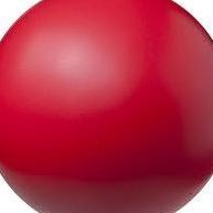 niopsins's profile picture. .