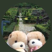 masao(@M20220815) 's Twitter Profile Photo
