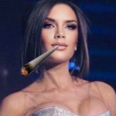 housewives and weed 🏳️🌈 here for the girlies and gays only