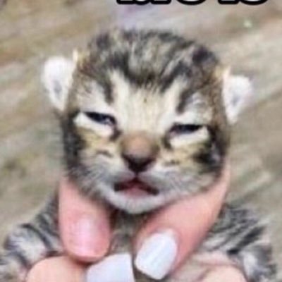 Goofy_goober25's profile picture. Account 🤍😈