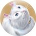 岩根雅明 MASAAKI IWANE (@animator1965) Twitter profile photo 岩根雅明 MASAAKI IWANE (@animator1965) Twitter profile photo