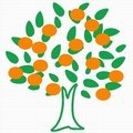 三重県熊野地方で柑橘を栽培しています/  完熟収穫/ 旬はみかんが決める/ お客さんの「美味しい！」がすべて/