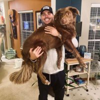 Bryce Stetler Dolan (@brycedolan13) 's Twitter Profile