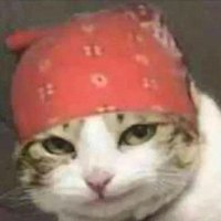 Kynetic (@kyneticcc) 's Twitter Profile Photo Kynetic (@kyneticcc) 's Twitter Profile Photo