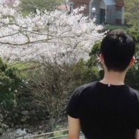 🌸人🤝ポケ🌸 (@p_afiii) 's Twitter Profile