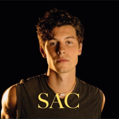 Here to promote and update you on 3x Grammy nominated singer and songwriter, Shawn Mendes! Contact: ShawnAsiaCrew@gmail.com