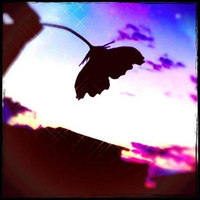 Rei_utaitesibou's profile picture. 無言フォロー失礼します