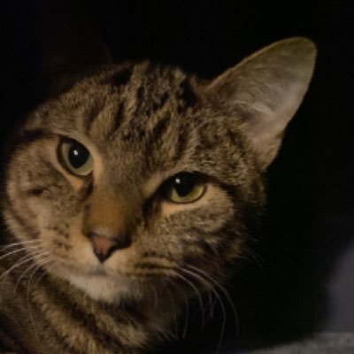 itsonlyrightnow's profile picture. just now