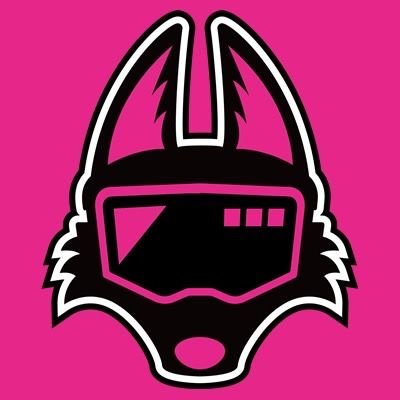 (株)きたまいか🦊XRよろず屋さんのプロフィール画像