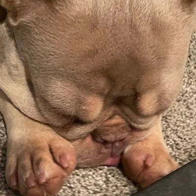 atran58_'s profile picture. 