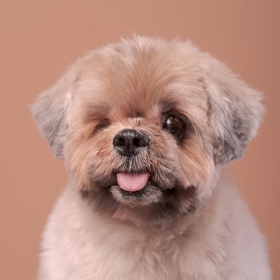 heyitsmeJoAnne's profile picture. A shining light for the LORD. ✨