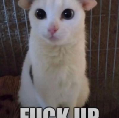 unevermorav's profile picture. weird weird shit on here