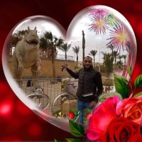 سامح هاشم (@samehhashem1001) 's Twitter Profile