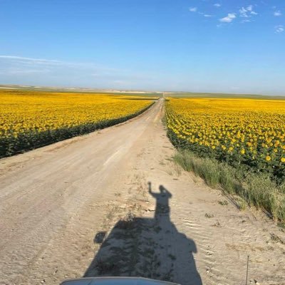 Recovering border farmer (MT/ND), retired sales guy. Yes, that is my mother in the front passenger seat.