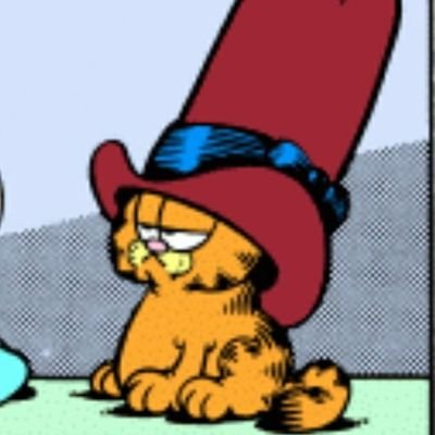 kingoferrets's profile picture. 