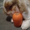 matayuke's profile picture. 